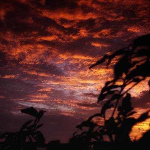 Photo #3983914