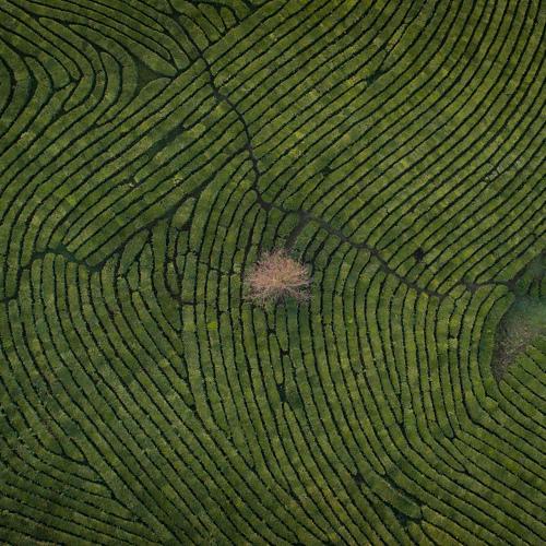Photo #3984223