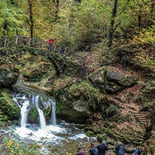 Photo #3984702