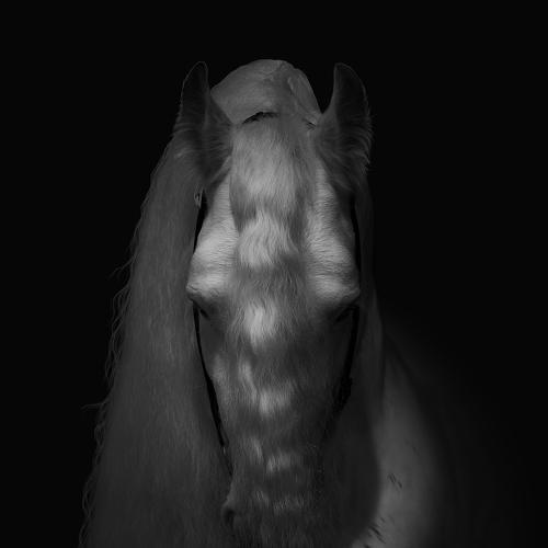 Photo #3984815