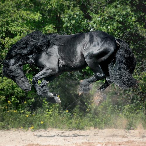 Photo #3984839