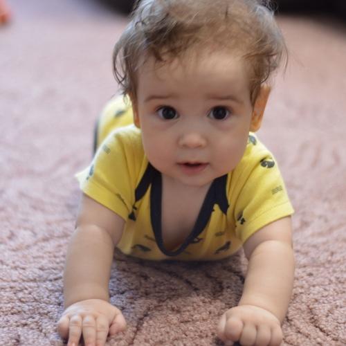 Photo #3985061