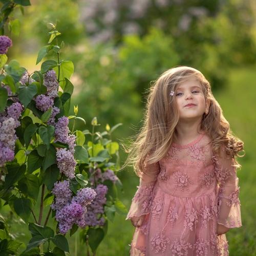 Photo #3985537