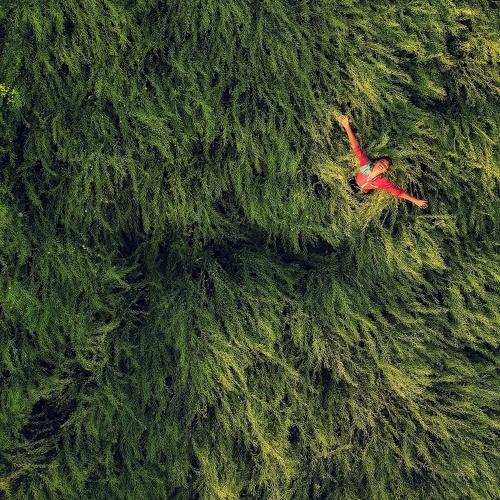 Photo #3986449