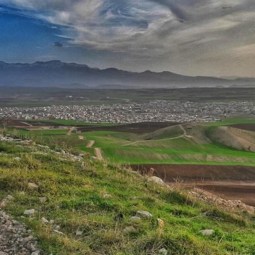 view