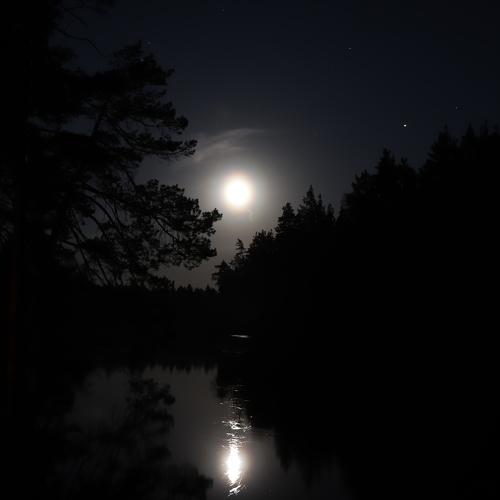 Photo #3986583