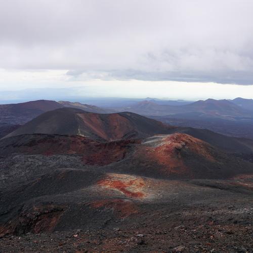 Photo #3987304