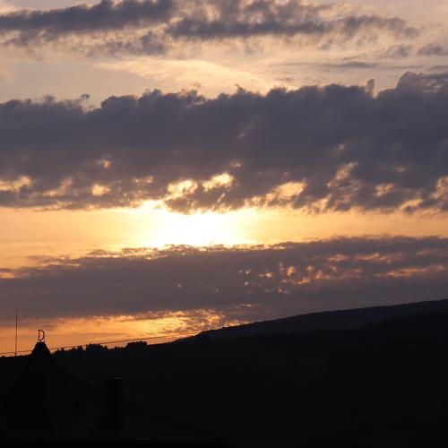 Photo #3987466