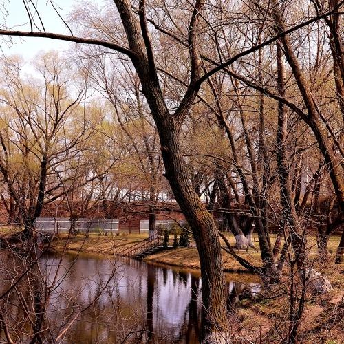 Photo #3987565