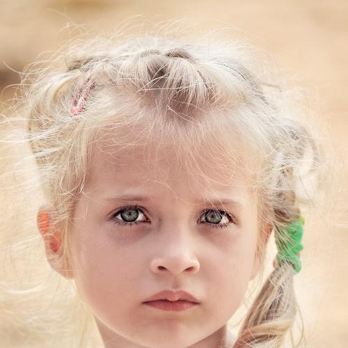 Photo #3988147