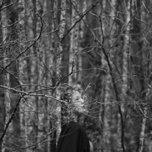 Photo #3988643
