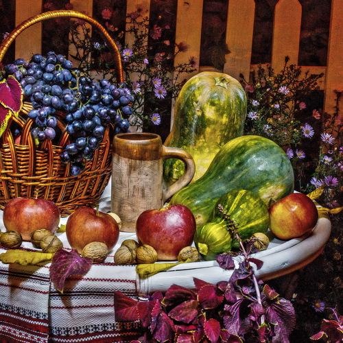 Photo #3988831