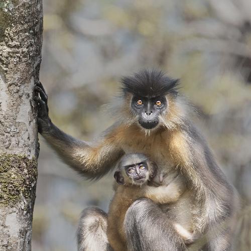 Photo #3989028