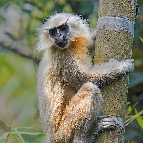 Photo #3989040