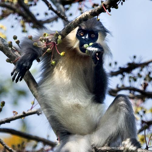 Photo #3989052