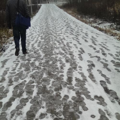 Наследили
