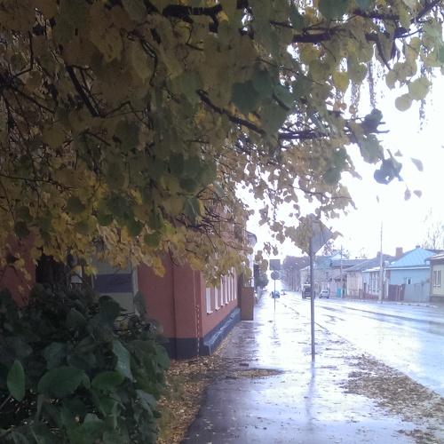 После дождя