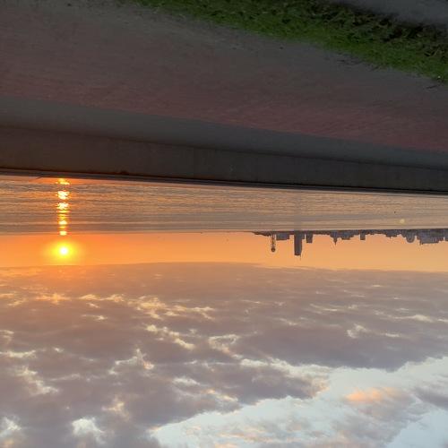 Photo #3989392