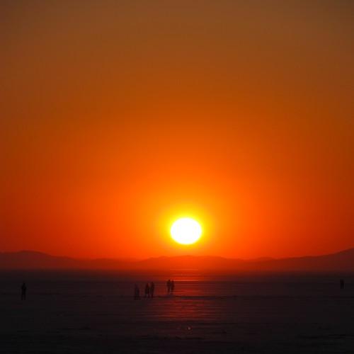Photo #3989553