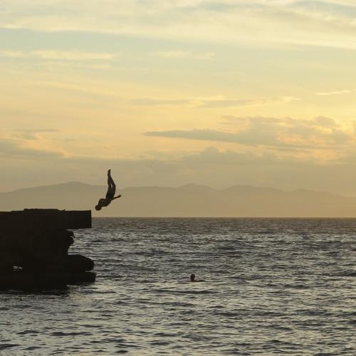 Photo #3989565
