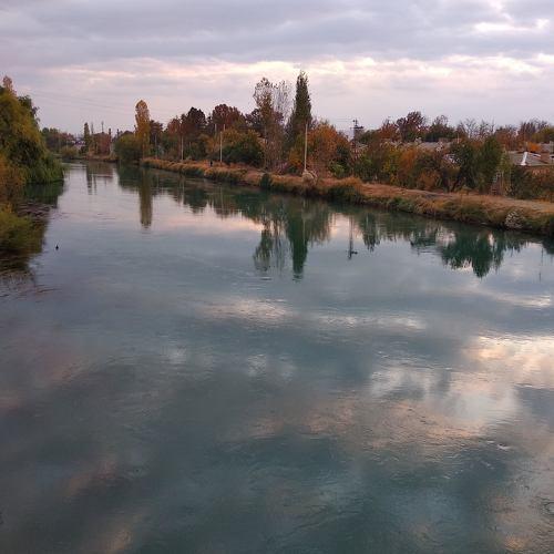Photo #3990530