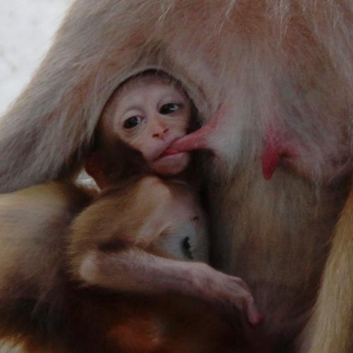 Photo #3990531