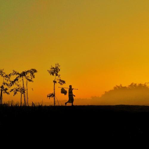Photo #3990560