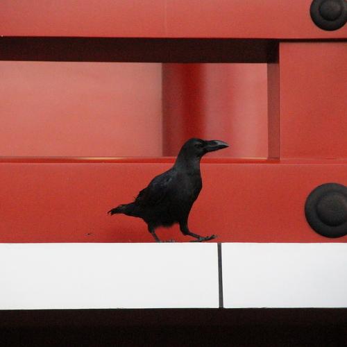 Photo #3990626