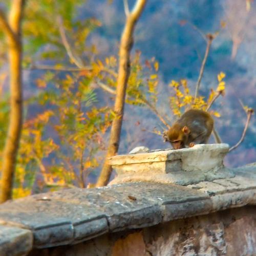 Photo #3990984
