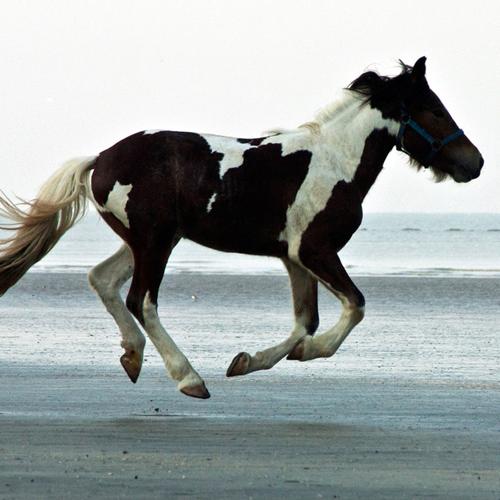 Photo #3991951