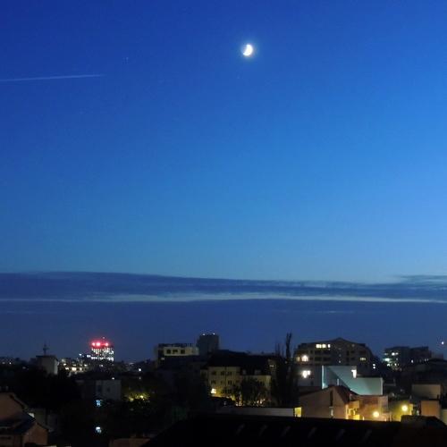 Photo #3992027
