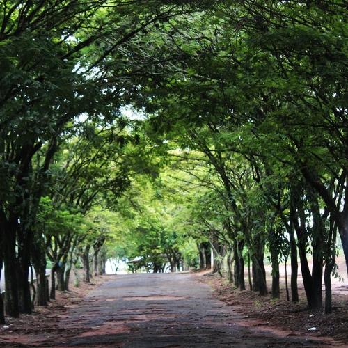 Photo #3992277