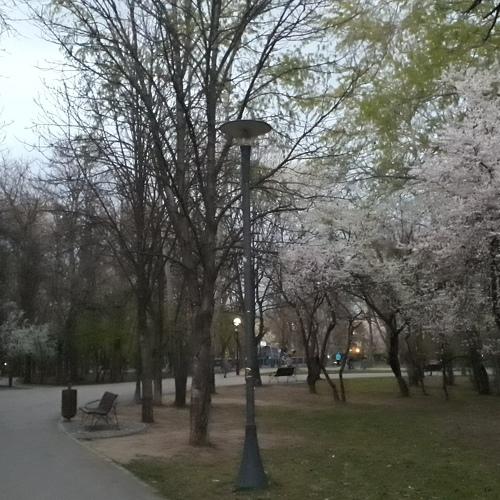 Photo #3992319