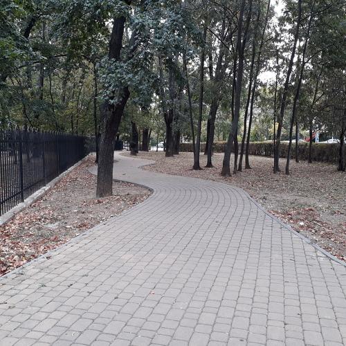 Photo #3992321