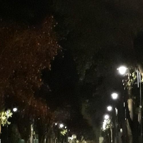 Photo #3992339