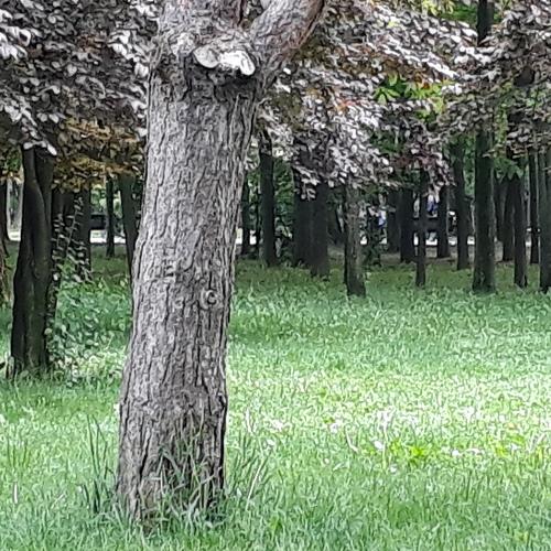 Photo #3992354