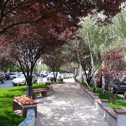 Photo #3992356