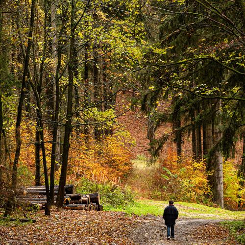 Photo #3992437