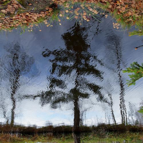 Photo #3992439