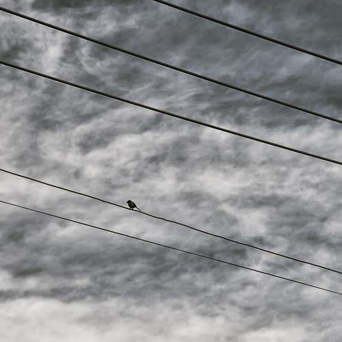 Photo #3992466
