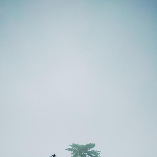 Photo #3993300