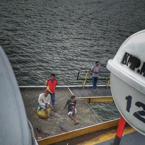 Photo #3993327