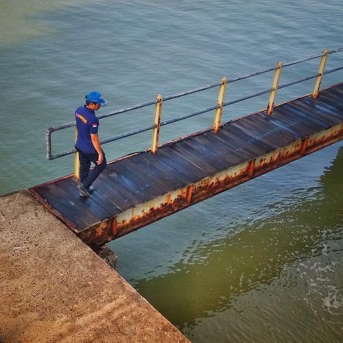 Photo #3993328