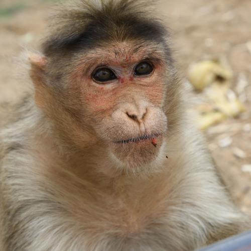 Photo #3994291