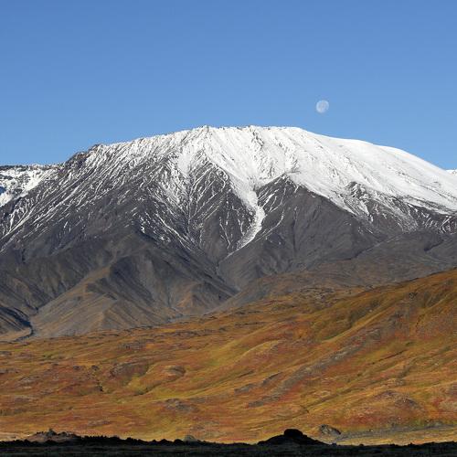 Photo #3994328