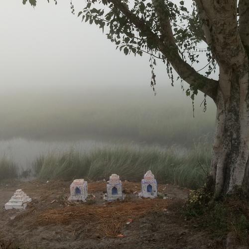 Photo #3995066