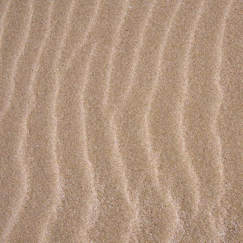 Photo #3995316