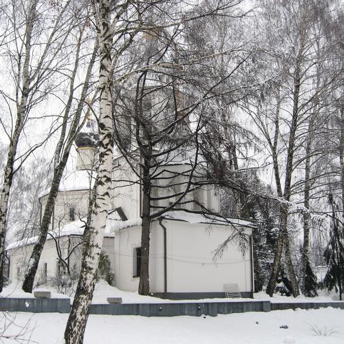Photo #3995584