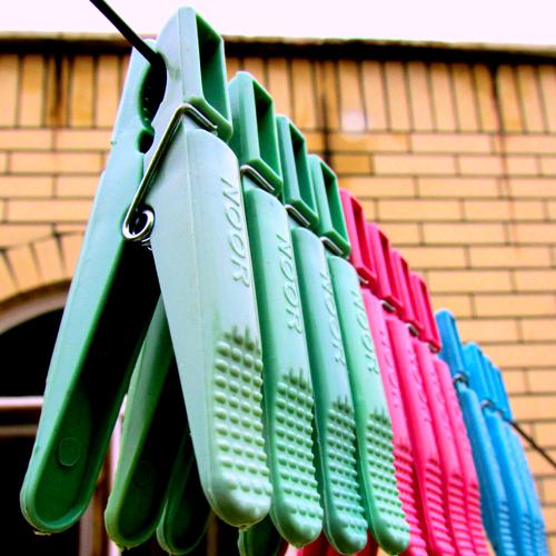 Photo #3995694
