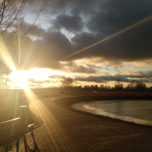 Photo #3995905